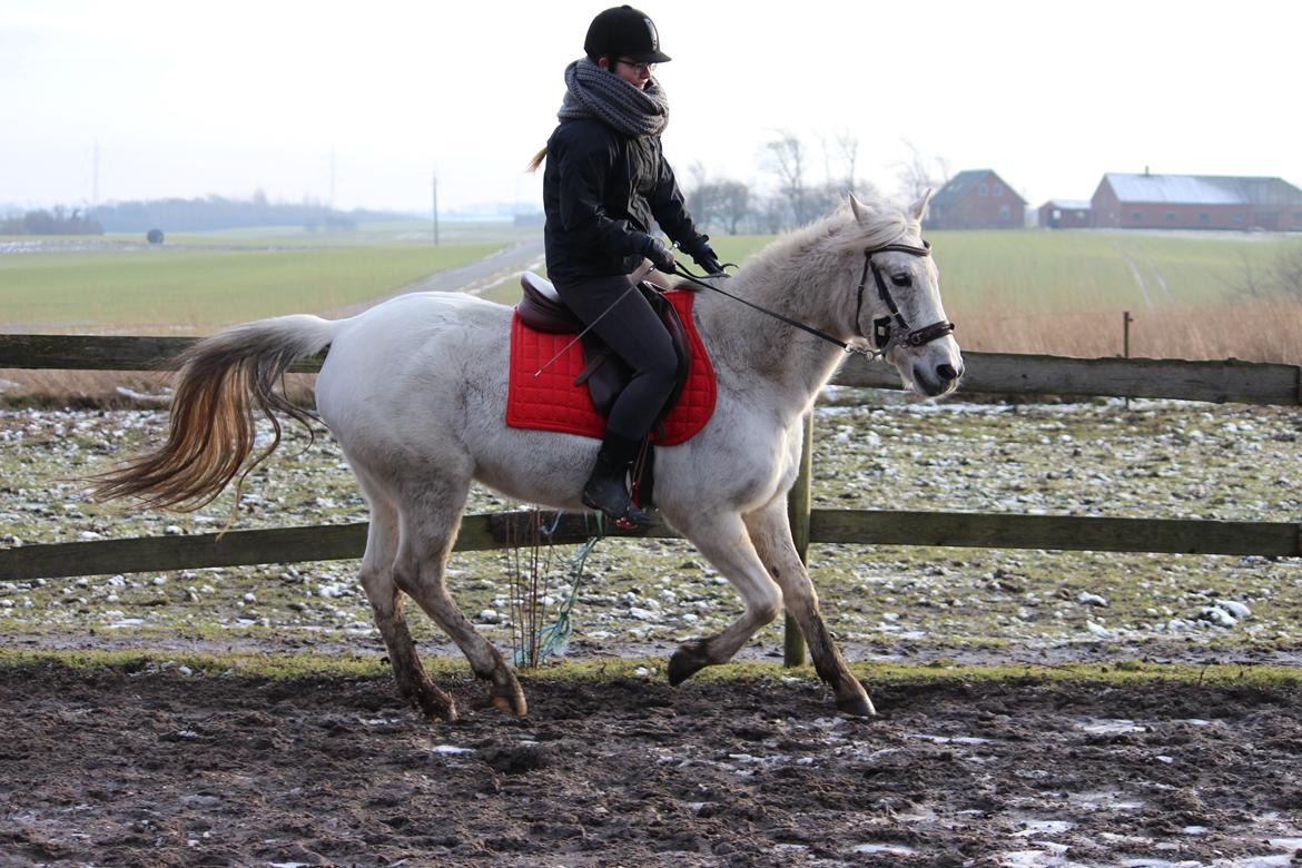 DSP Solvang's Mercedes billede 17