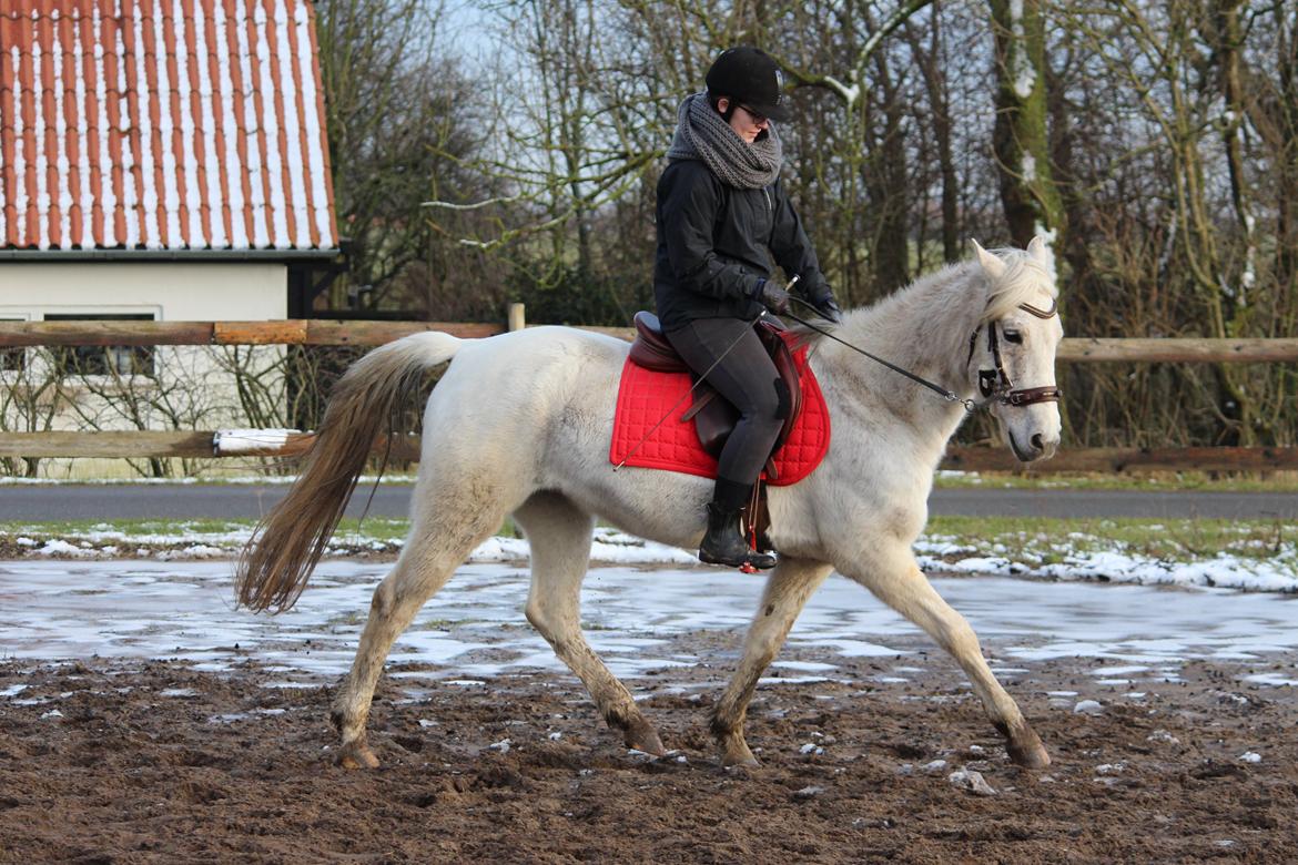 DSP Solvang's Mercedes billede 3