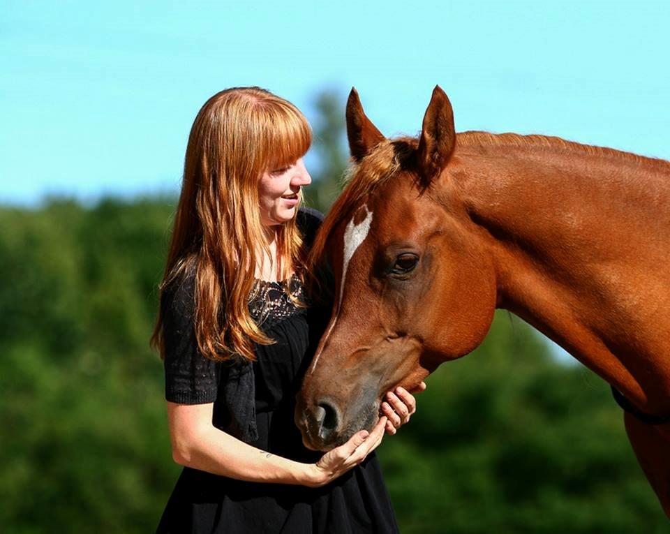 Arabisk fuldblod (OX) Milagro - Foto taget af Mille Berger Schlundt på Granly (august '14) billede 41