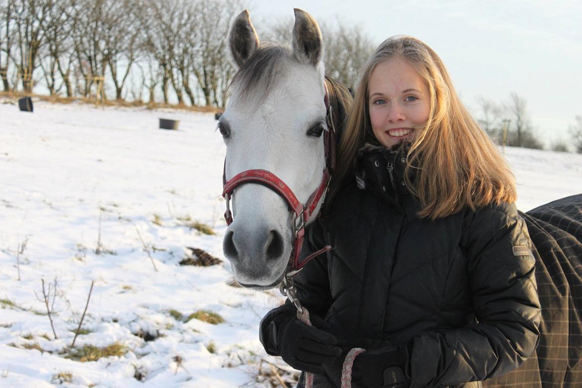 Welsh Pony (sec B) Vongkærgårds Annabell - 2156 dage med din elskede pony! <3  billede 1