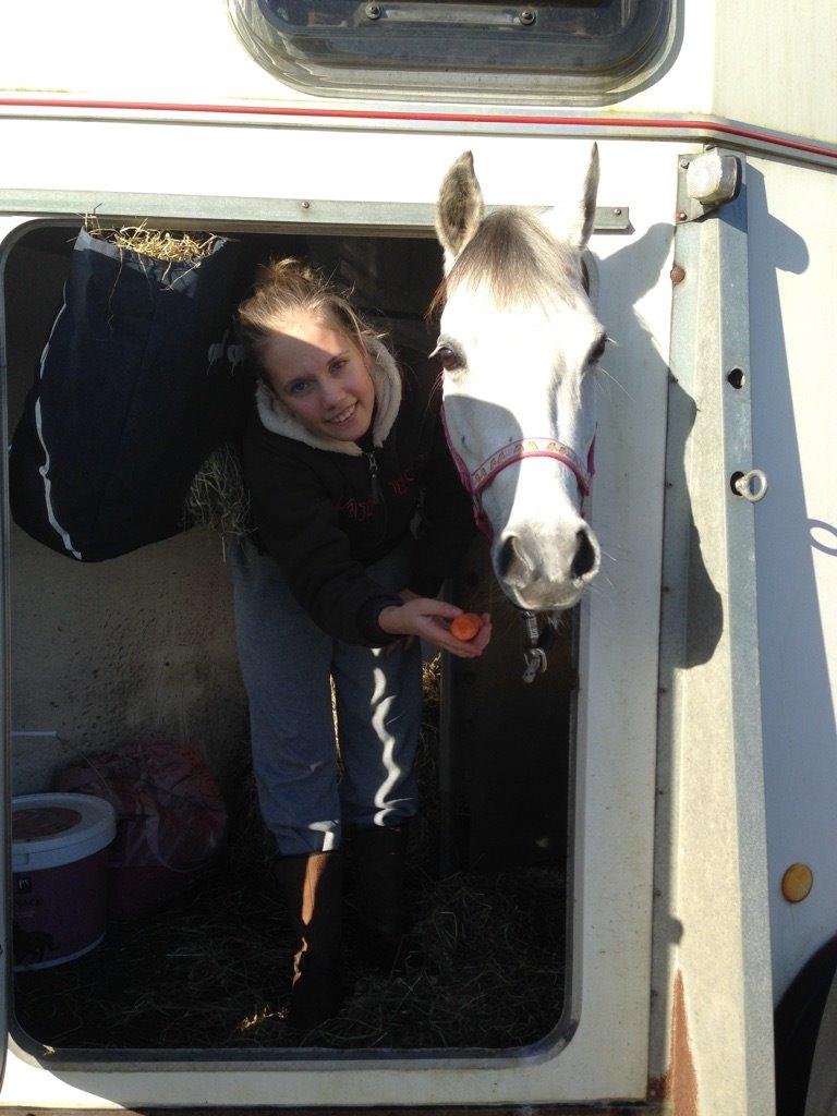 Welsh Pony (sec B) Vongkærgårds Annabell - Pony på vej til Tyskland..  billede 19