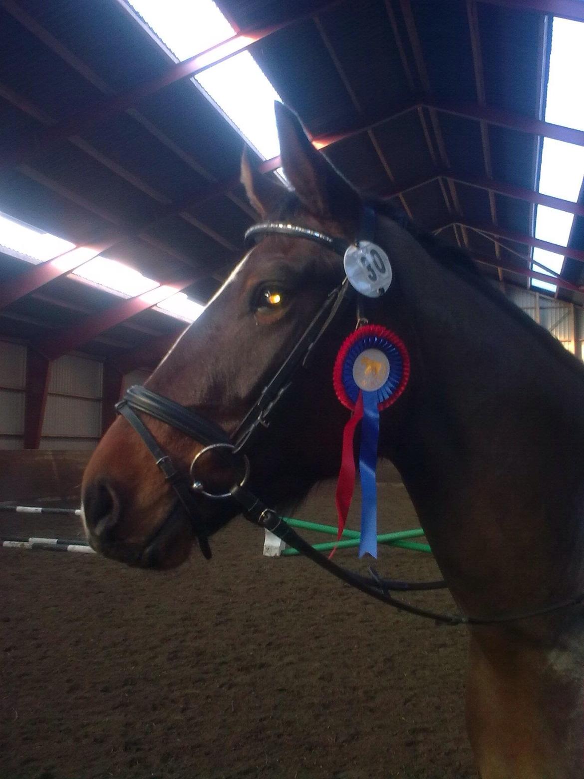 Anden særlig race Dalshøj Malina billede 5