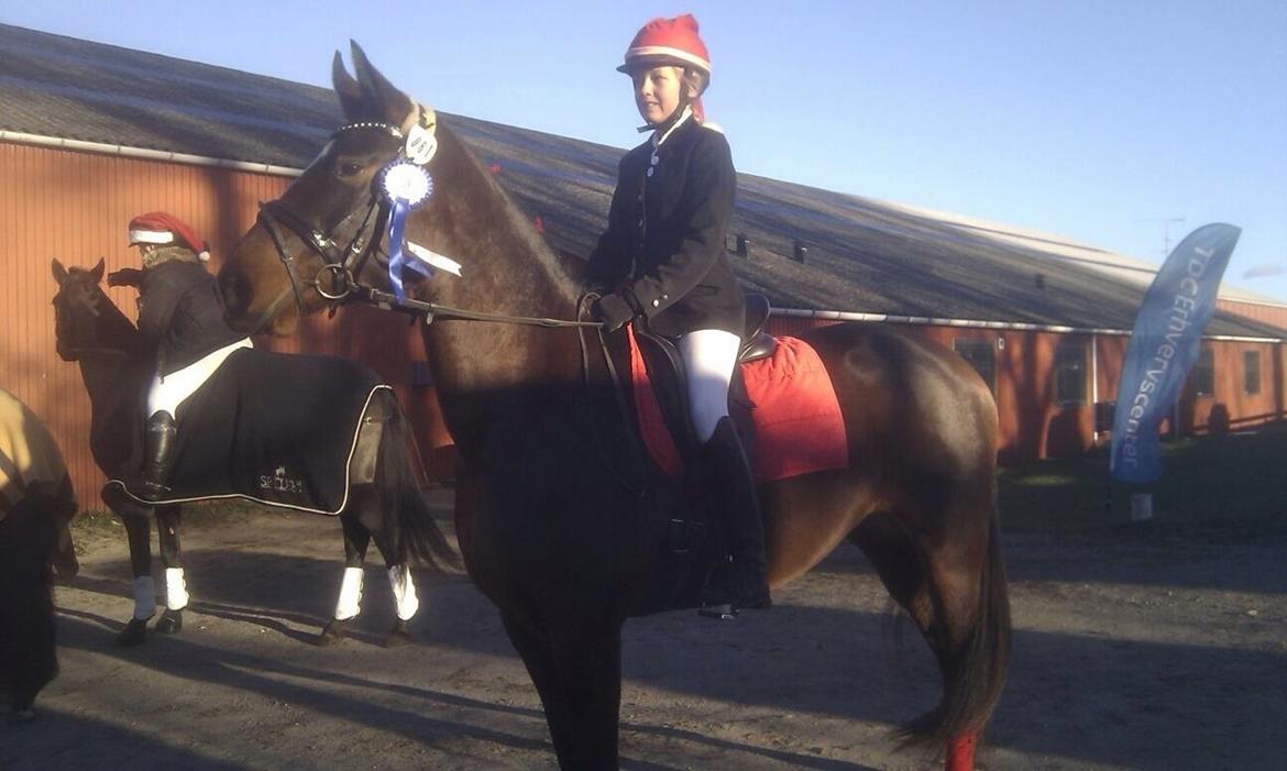 Anden særlig race Dalshøj Malina billede 6