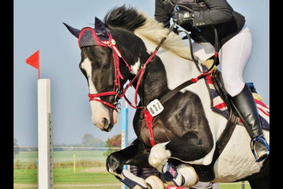 Anden særlig race May-Night Chic billede 14