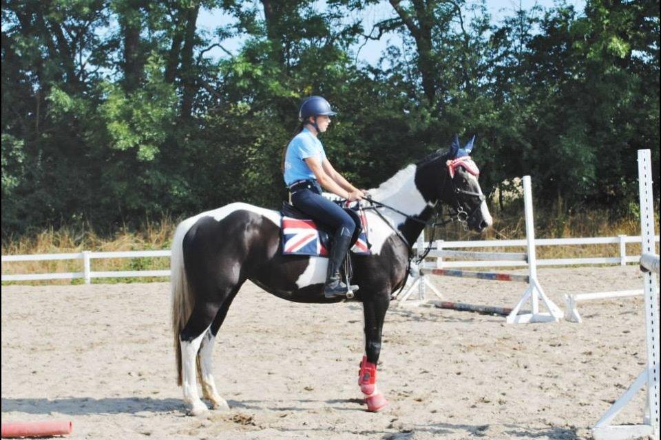 Anden særlig race May-Night Chic billede 17