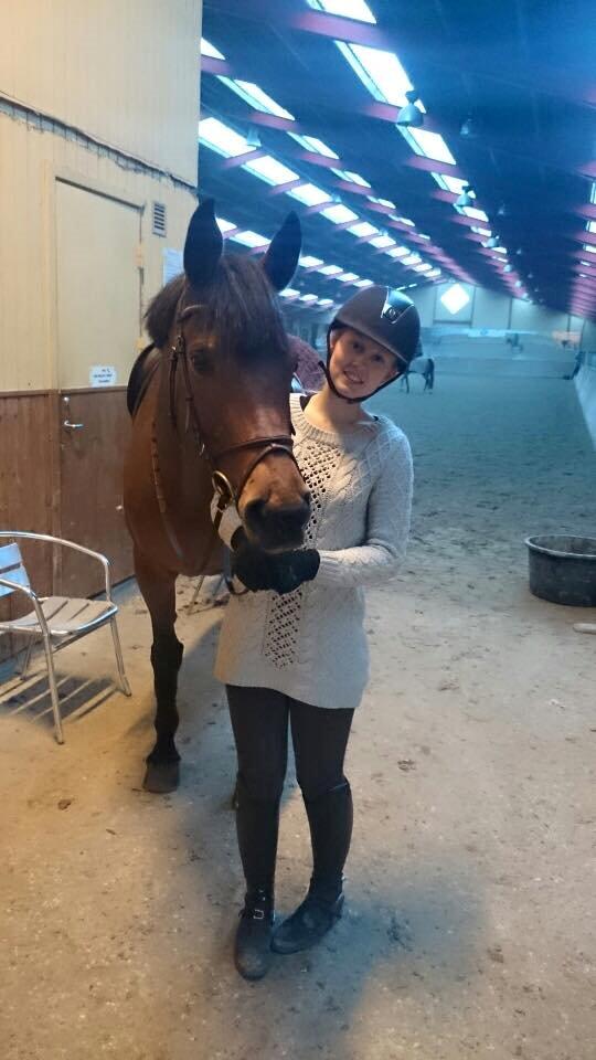 Svensk Varmblod Cherrio (swb) - dagen efter hun blev min <3 billede 5