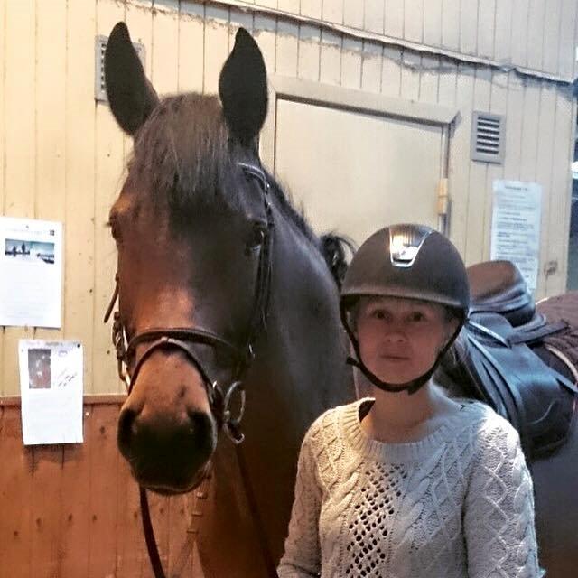 Svensk Varmblod Cherrio (swb) billede 7