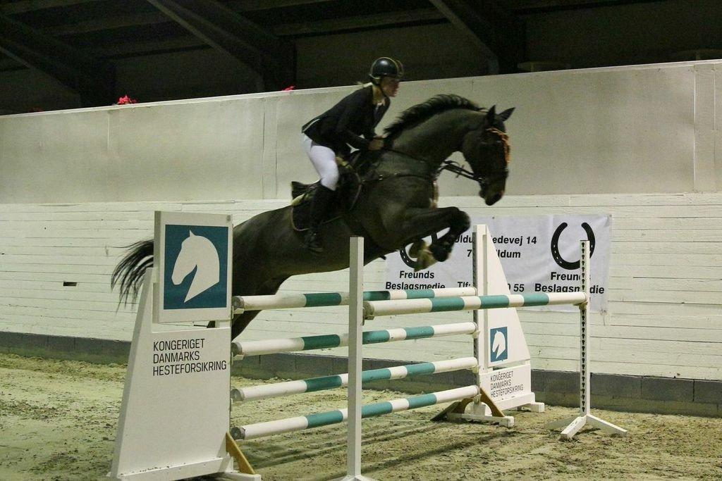 Holstener CHAIO billede 11