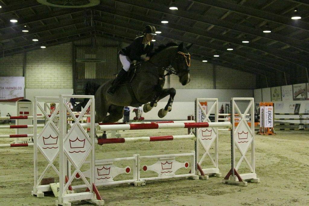 Holstener CHAIO billede 12