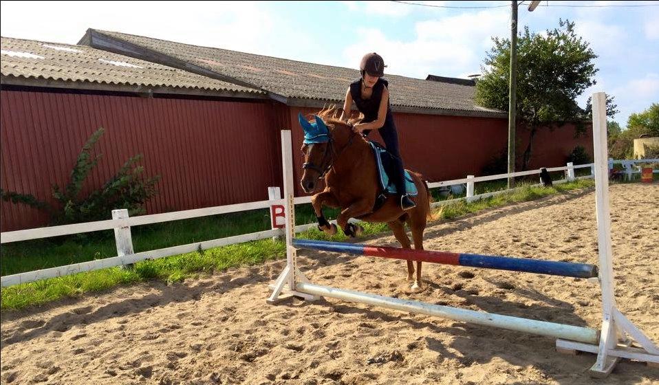 DSP Nakupenda. billede 14