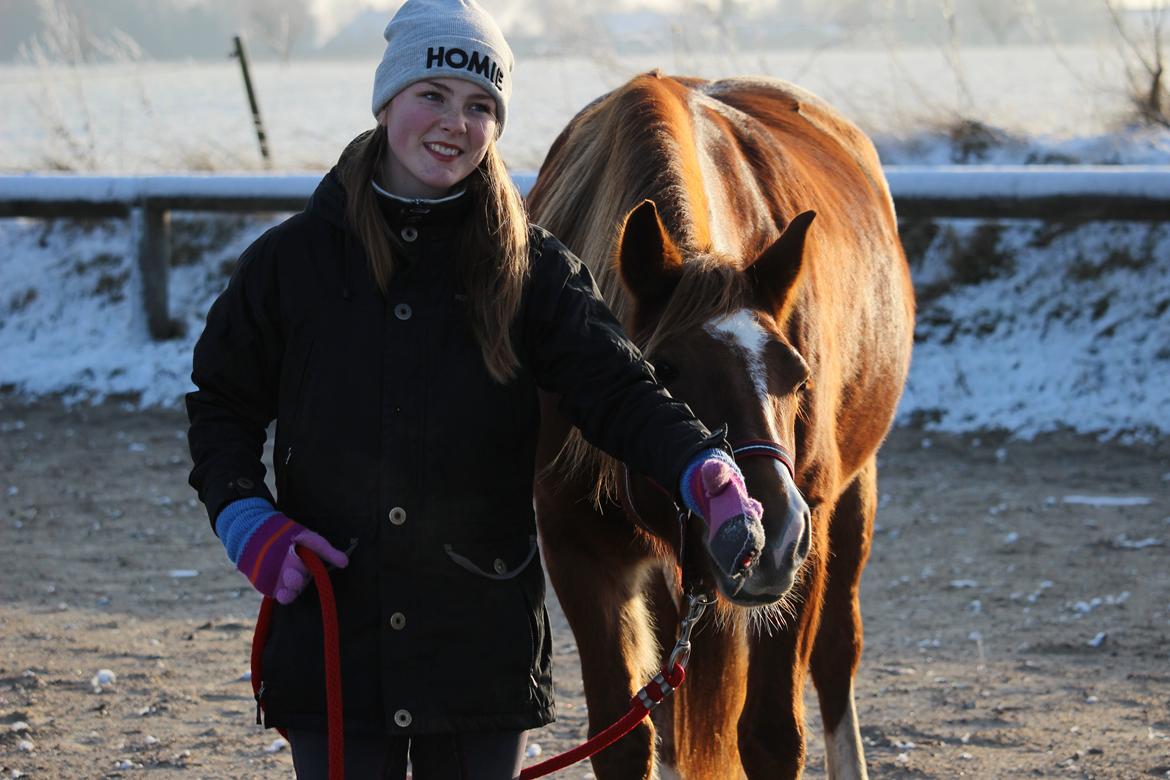 Anden særlig race Lille Nora billede 19