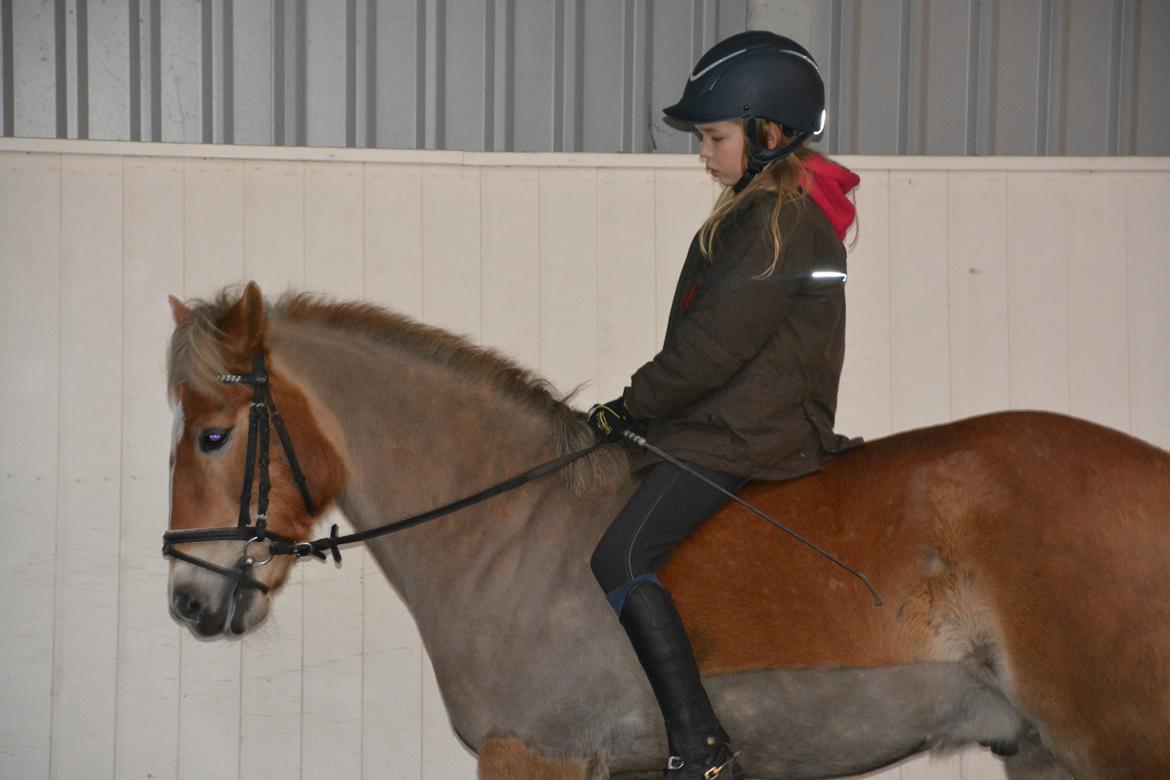 Anden særlig race Min part Pakko(-: billede 19