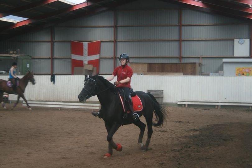 Anden særlig race Chanel  billede 5