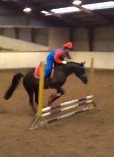 Anden særlig race Chanel  billede 7