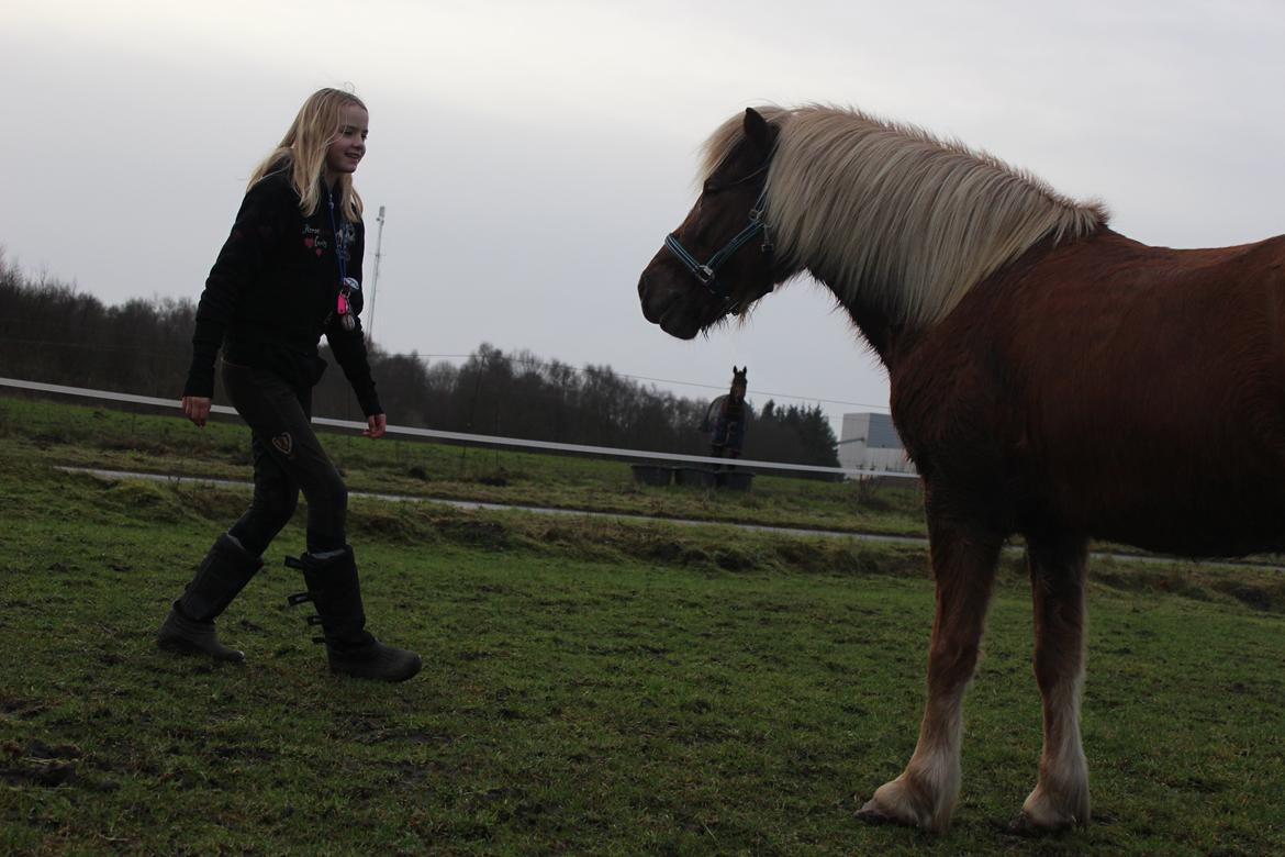 Islænder Lysa <3 IAka SkatlingI - Ups! "Hvad sker der?" billede 17