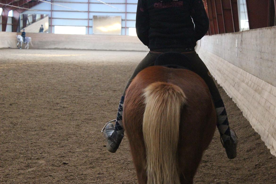 Islænder Lysa <3 IAka SkatlingI - Tak fordi i kiggede forbi. <3 Lig gerne en kommentar og bedømmelse :* billede 20