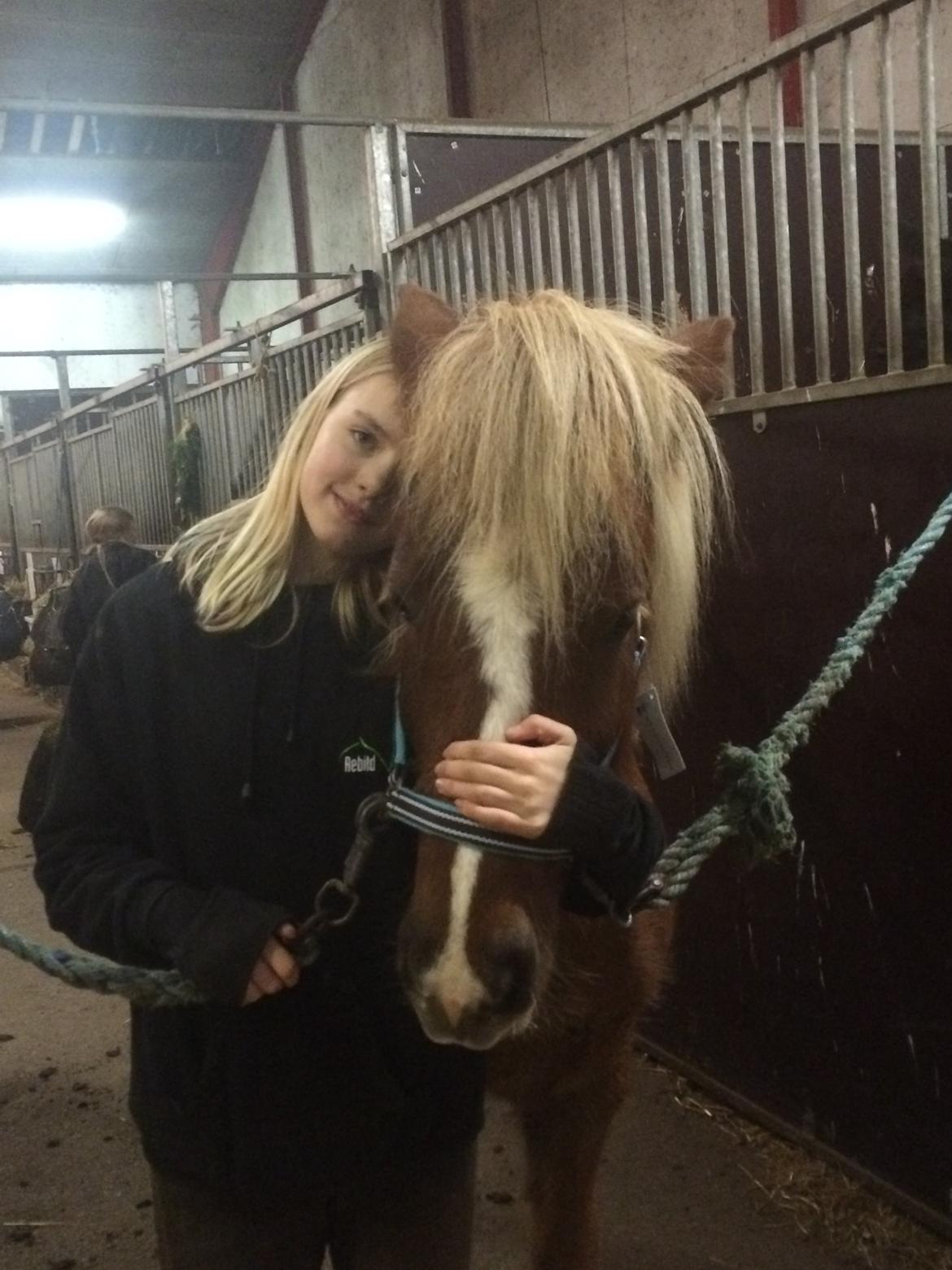 Islænder Lysa <3 IAka SkatlingI - Vi tager lige en slapper <3 billede 9