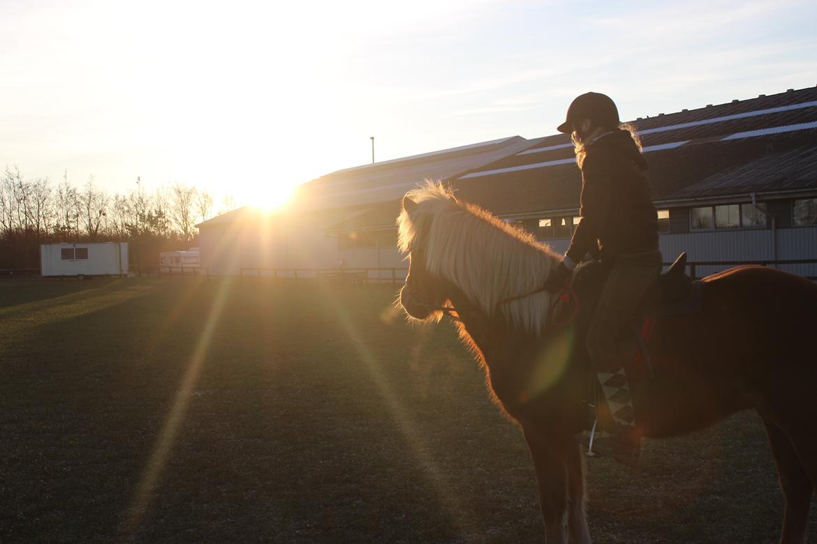 Islænder Lysa <3 IAka SkatlingI - Den smukke solnedgang <3 billede 19