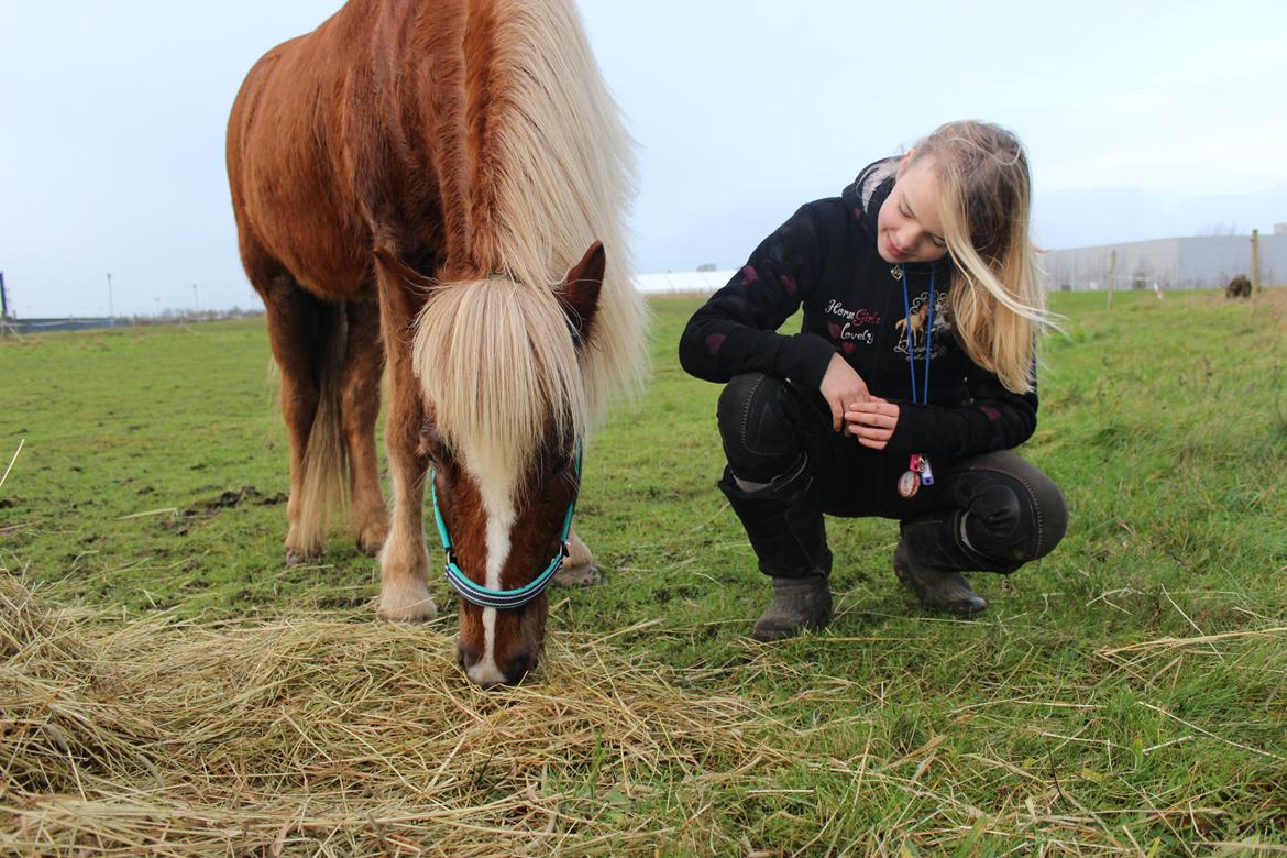 Islænder Lysa <3 IAka SkatlingI - ... <3 :* billede 14