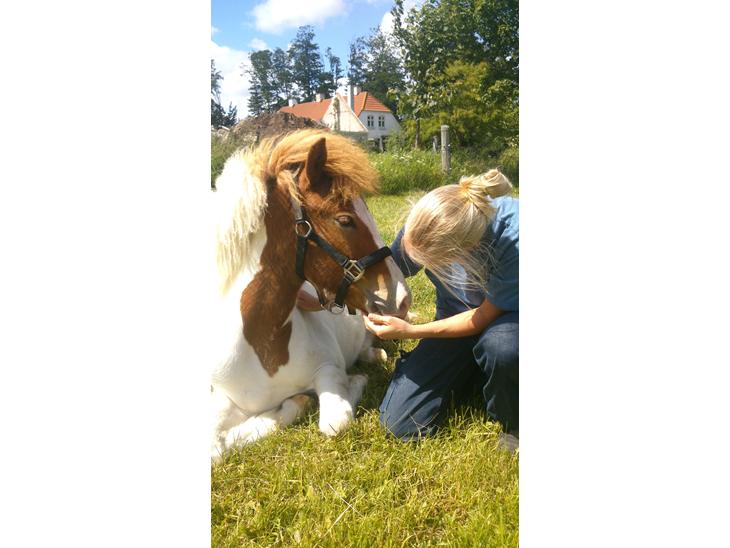 {{currentPhoto.altText}} billede {{currentPhoto.number}}