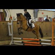 Anden særlig race Diego Santana