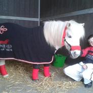 Anden særlig race fighter