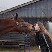 Anden særlig race Lotte mit et og alt<3