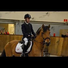 Anden særlig race Diego Santana