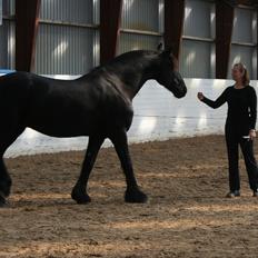 Frieser Jilker af Stasevang