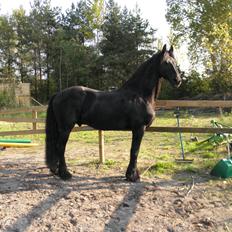 Frieser Jilker af Stasevang