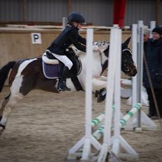 Anden særlig race Fanny