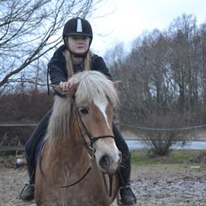 Anden særlig race Pippi - Turbo ponyen