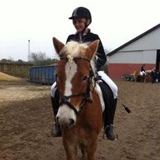Gotlandsruss Bianca