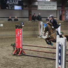 Tysk Sportspony Duchess [Heidi Vinderpony!] Solgt