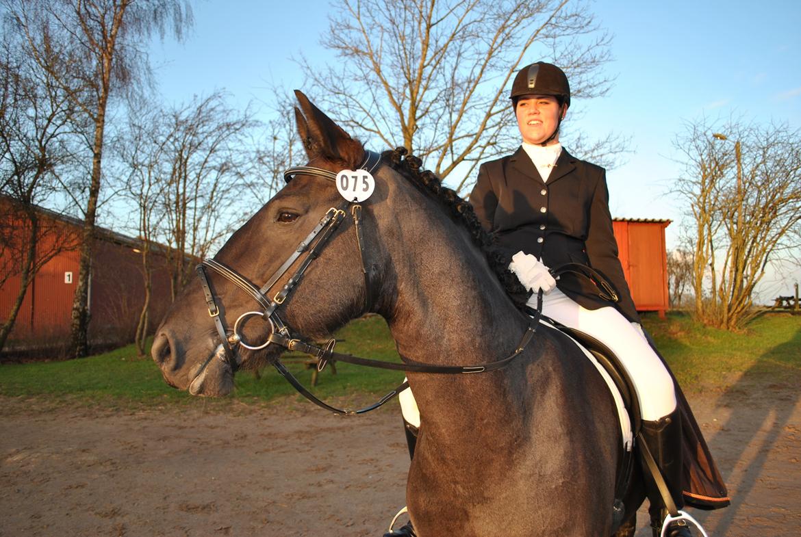 Frieser Tessa billede 20