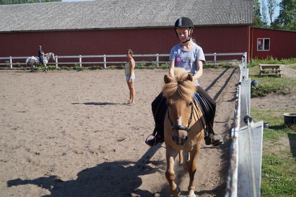 Anden særlig race Frederik billede 15