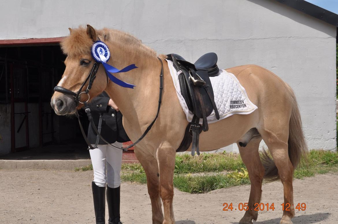 Anden særlig race Frederik billede 17
