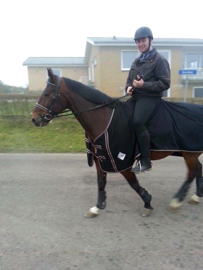 Traver Filur Raun billede 6