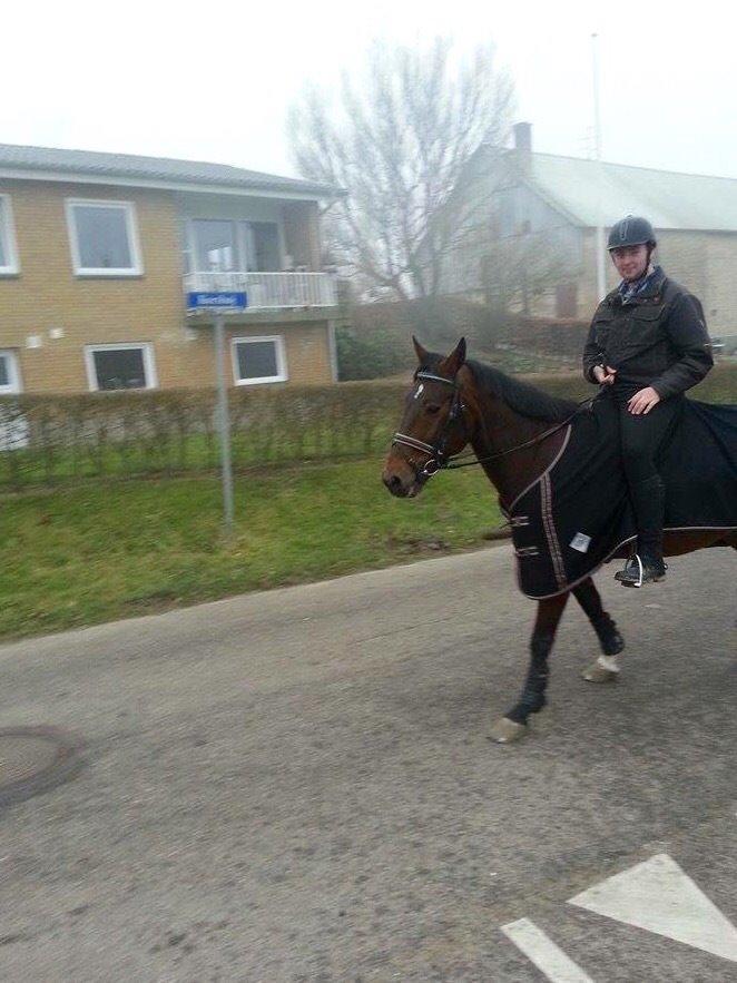 Traver Filur Raun billede 7