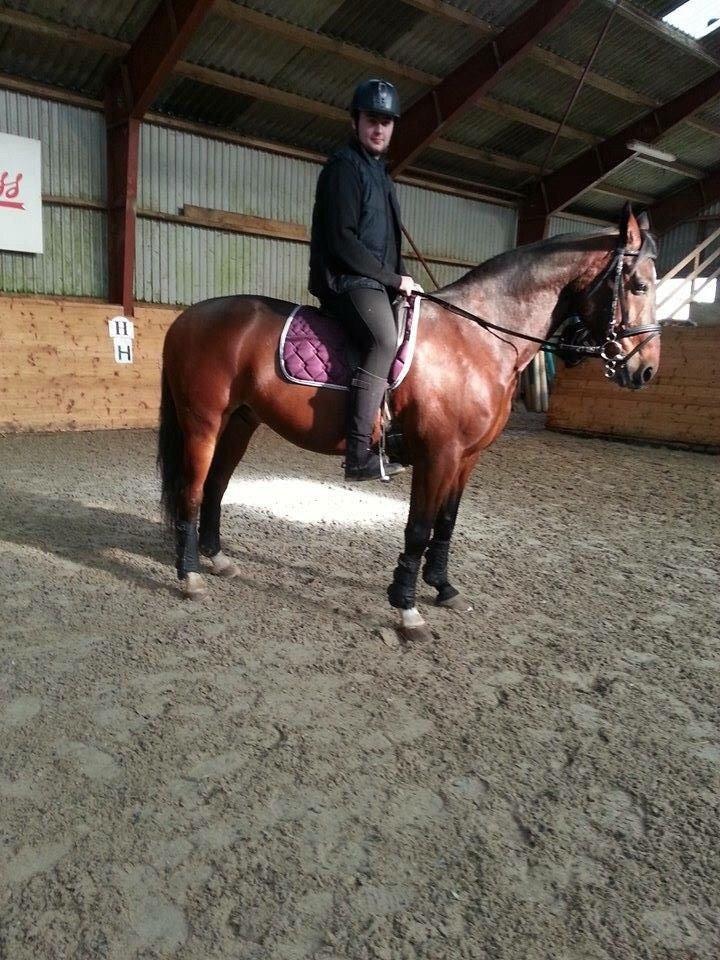 Traver Filur Raun billede 9