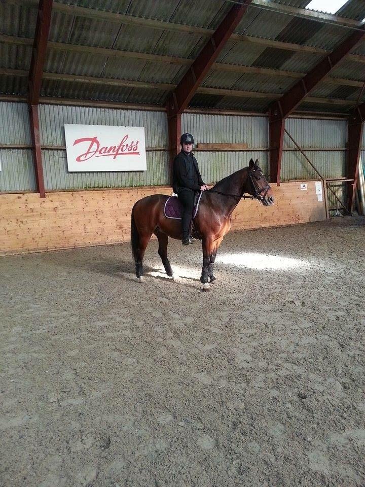 Traver Filur Raun billede 11