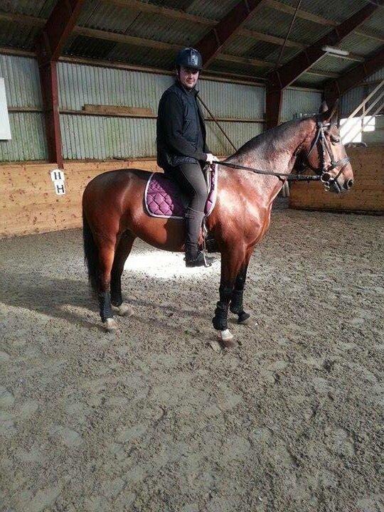 Traver Filur Raun billede 12