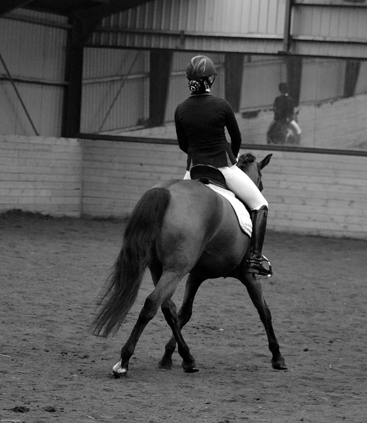 DSP Nikita billede 11