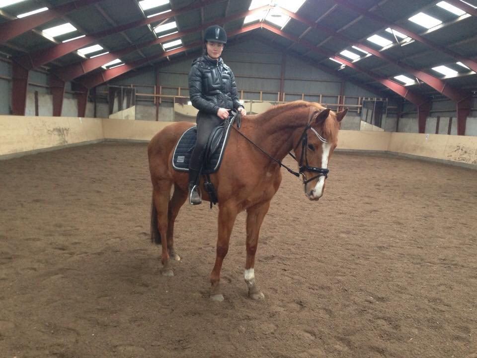 Anden særlig race Silvia billede 7