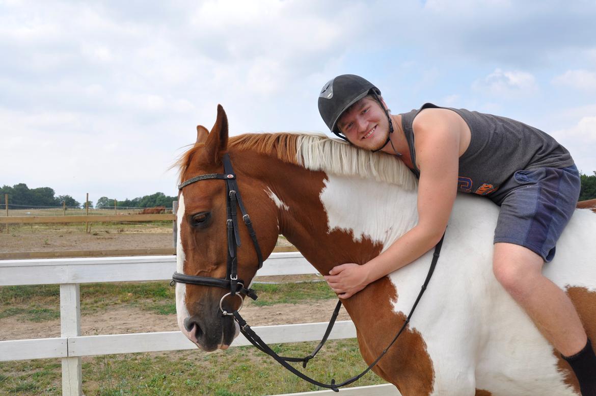 Pinto Arion - Min kæreste, Lucas, og Arion. Man kan tydeligt se at det er sommer, på hans pels :) billede 8