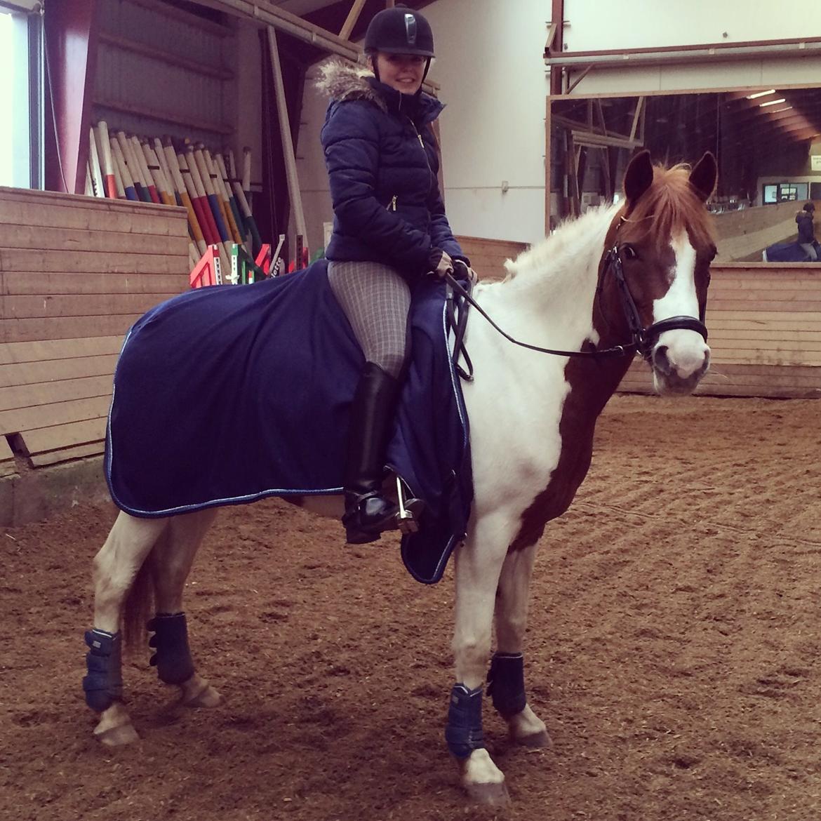 Anden særlig race Chanel - Solgt billede 23