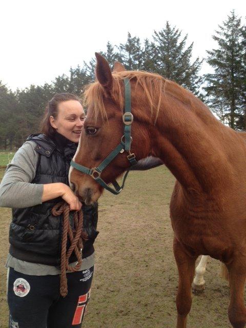 Dansk Varmblod Moselunds Chili - Min mor og Chili :)  billede 8