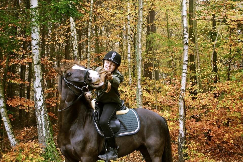 New Forest Southforks Athos - Efterår - 2014 billede 5