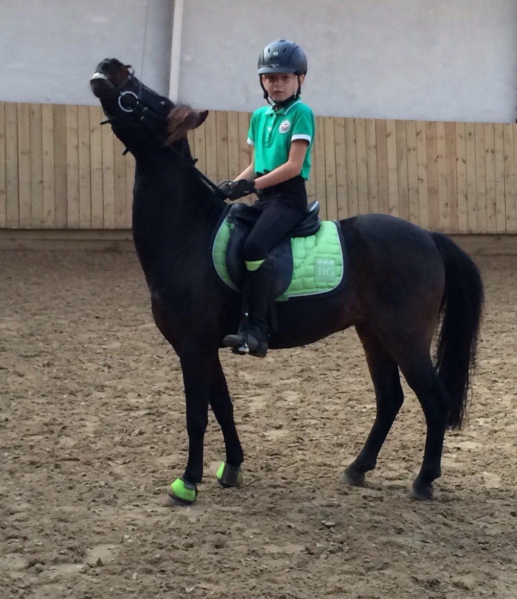 Anden særlig race Dennis (Sigge) billede 3