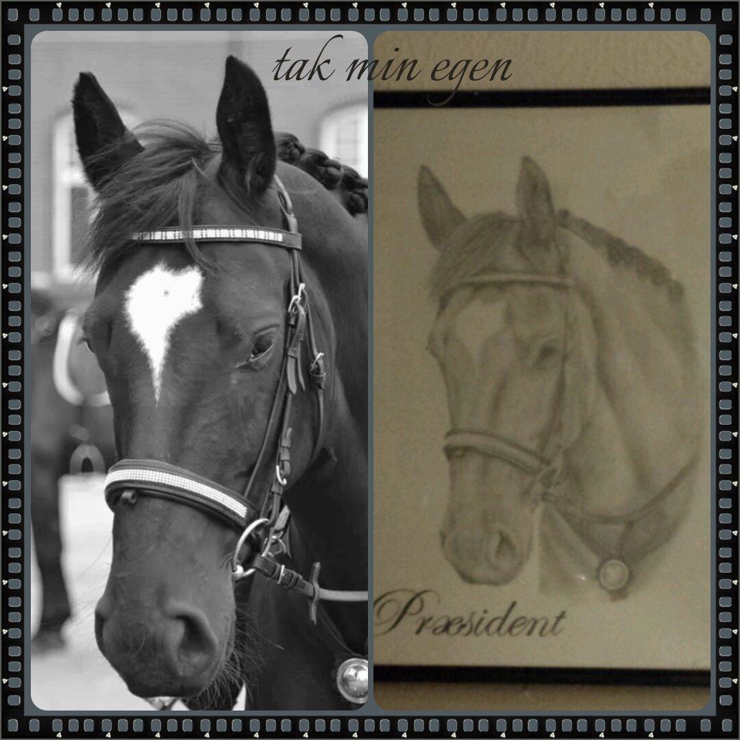 Oldenborg President billede 12